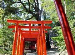 川津来宮神社(杉桙別命神社)