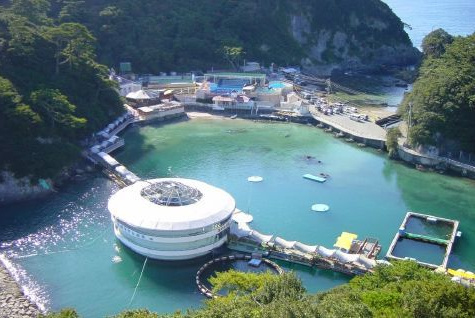 下田海中水族館