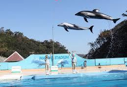下田海中水族館