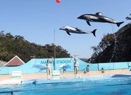 下田海中水族館