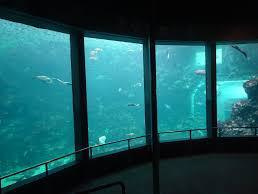 下田海中水族館
