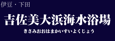 吉佐美大浜海水浴場