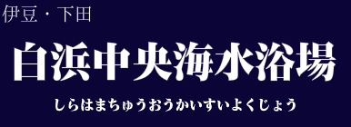 白浜中央海水浴場