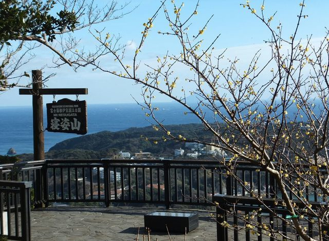 寝姿山展望台