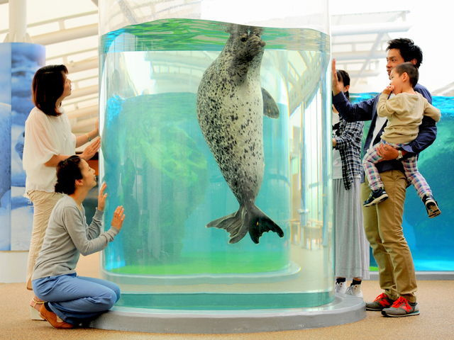 京都水族館