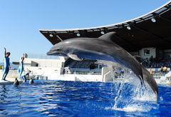 京都水族館