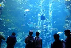 京都水族館