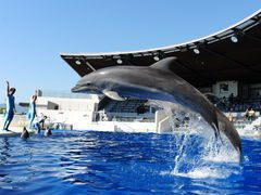 京都水族館