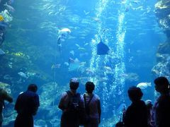 京都水族館