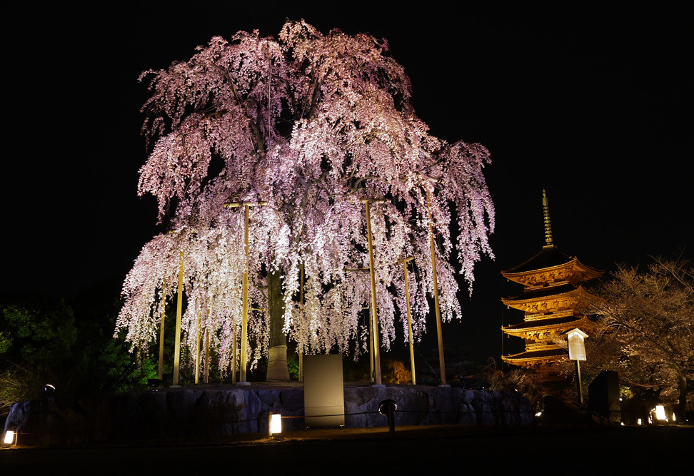 東寺（教王護国寺）