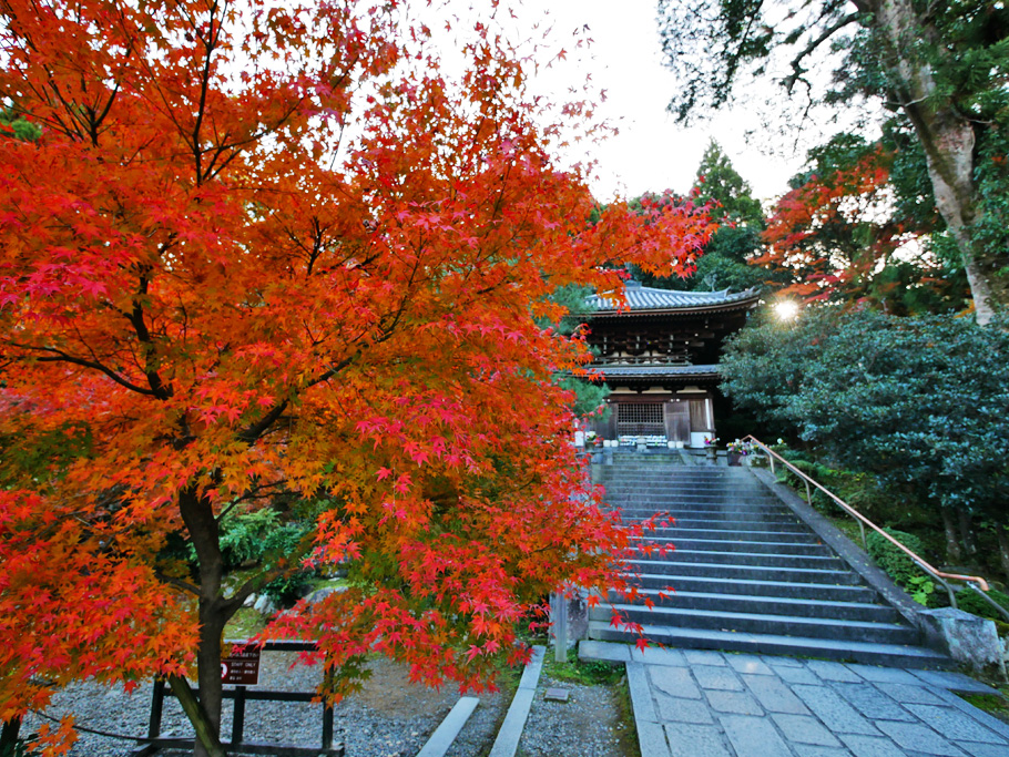 知恩院