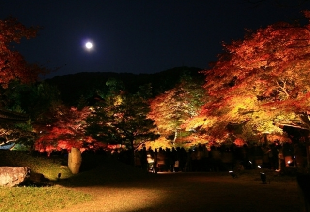 高台寺