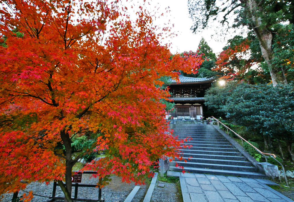 知恩院