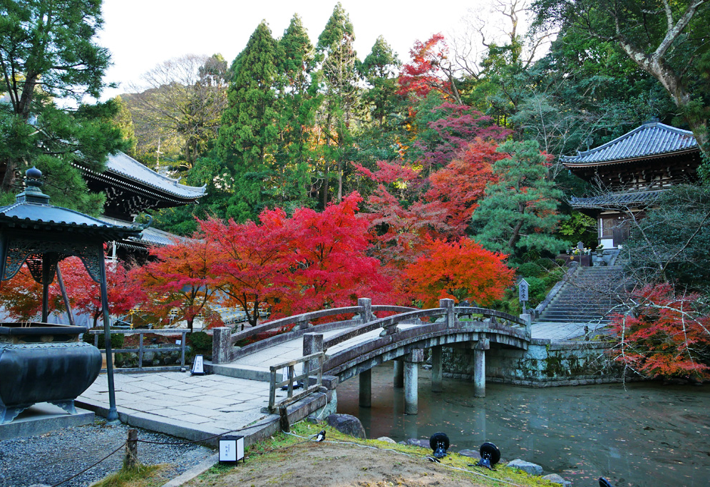 知恩院