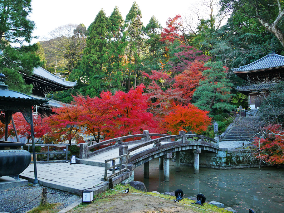 知恩院