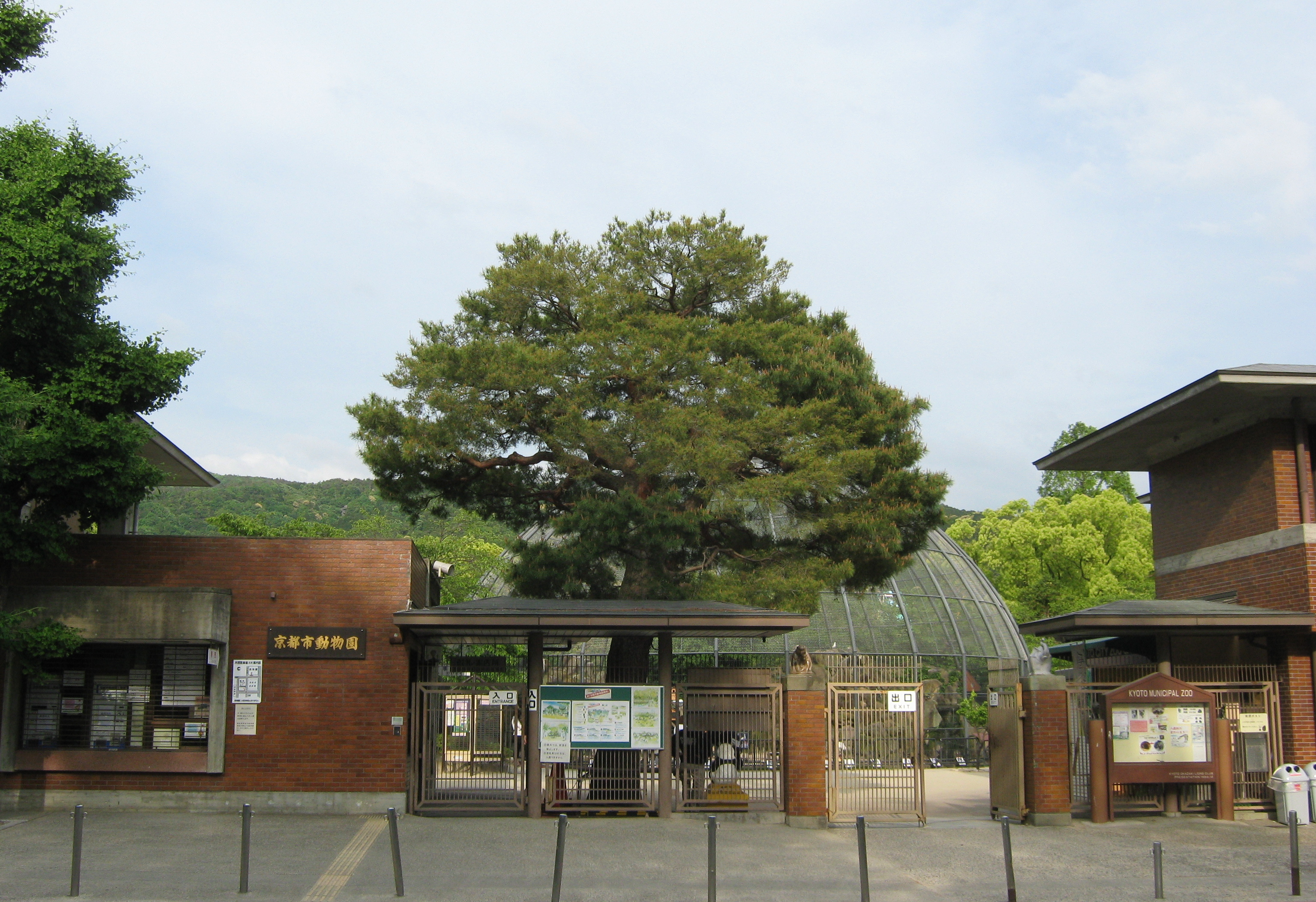 京都市動物園