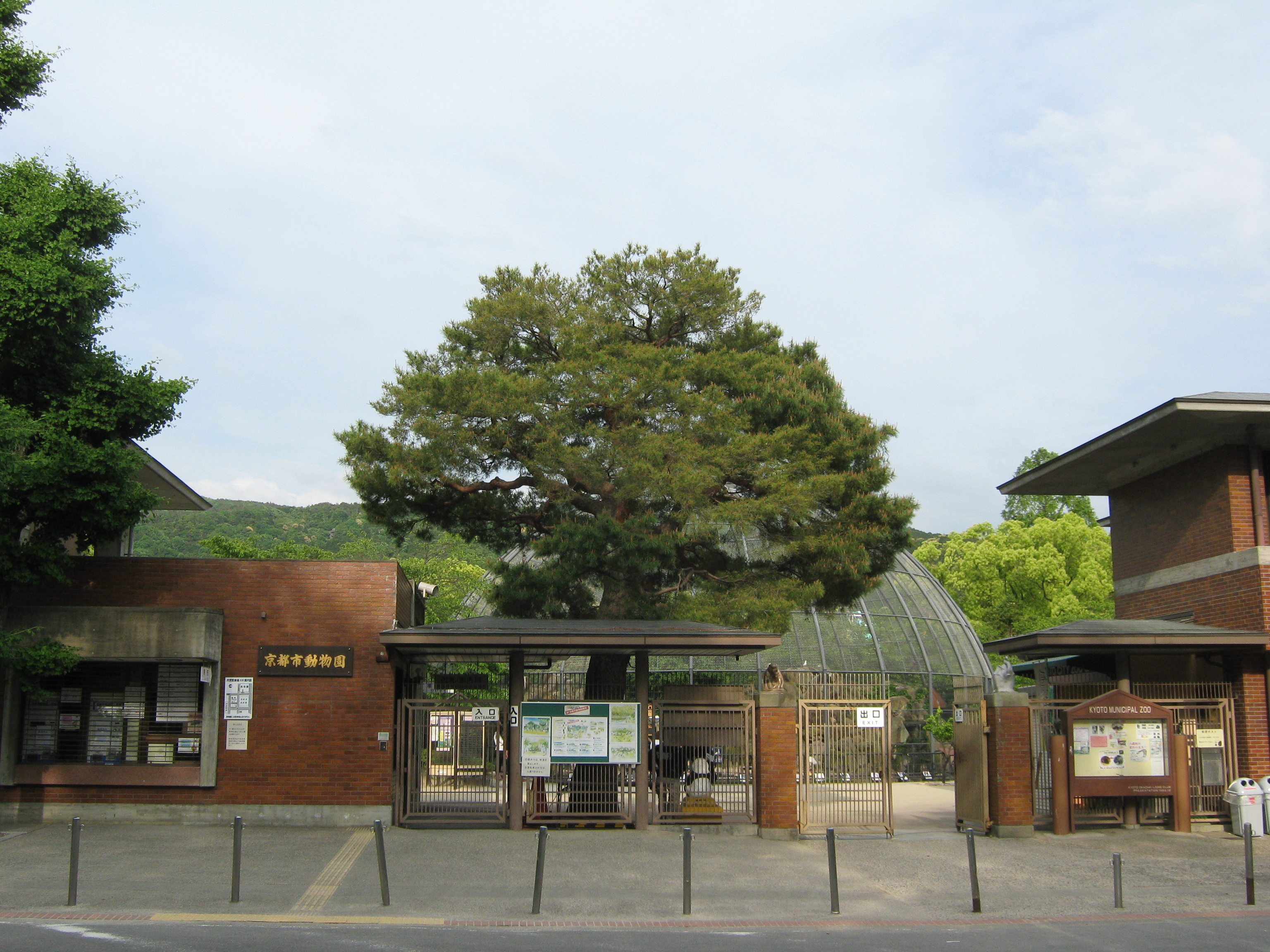 京都市動物園