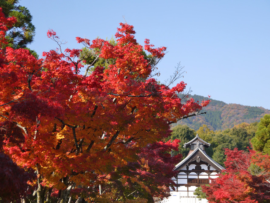 天龍寺