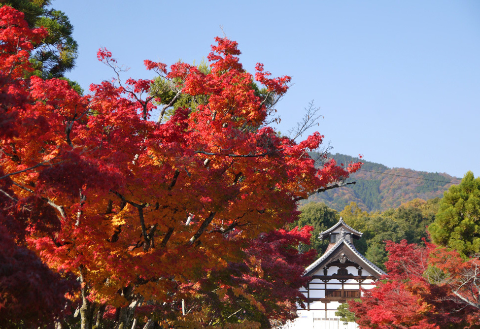 天龍寺