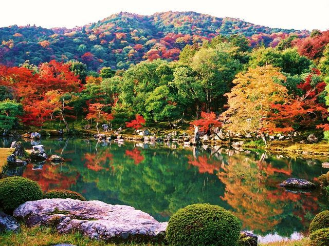 天龍寺・紅葉