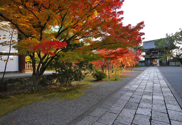 広隆寺