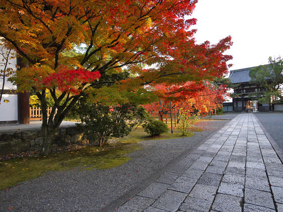 広隆寺・紅葉