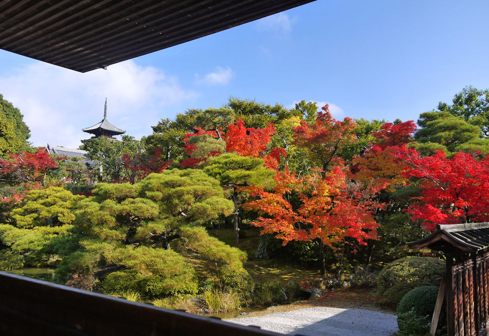 仁和寺