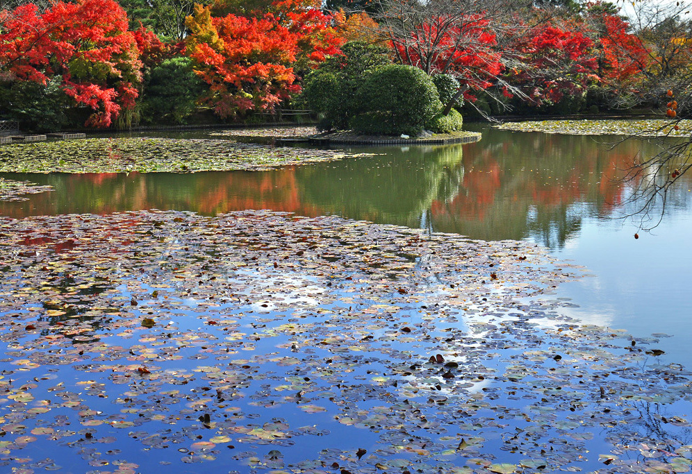 龍安寺