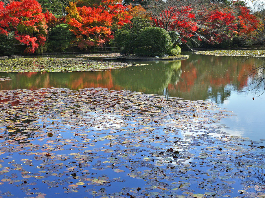 龍安寺