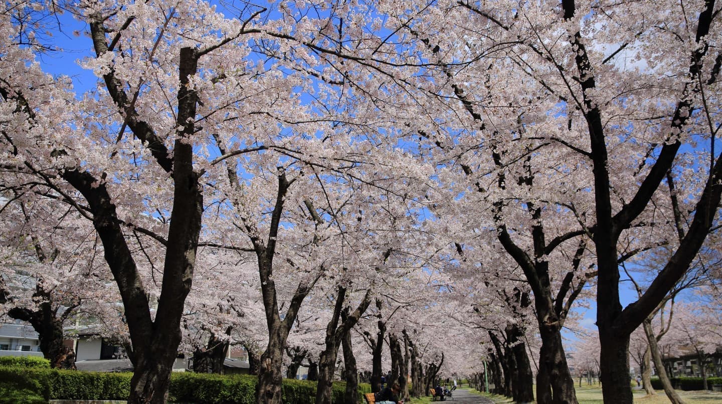 札幌市時計台