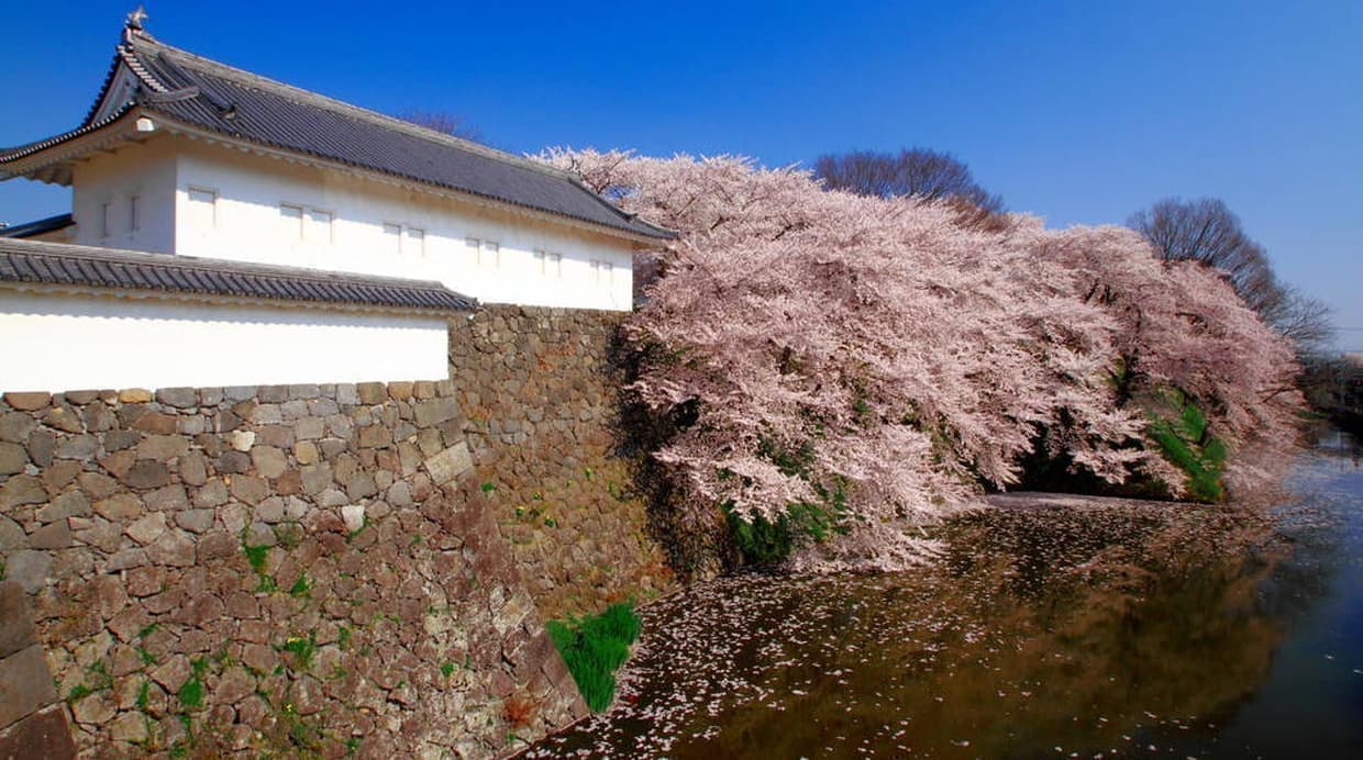 すすきの
