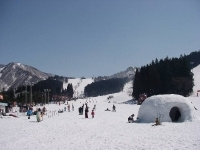 湯沢パークスキー場