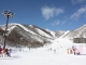 白馬コルチナスキー場の積雪情報
